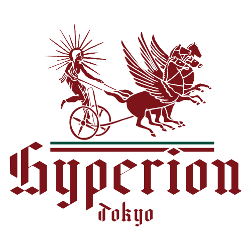 再生可能エネルギーの建設とベトナム進出支援｜株式会社Hyperion Tokyo